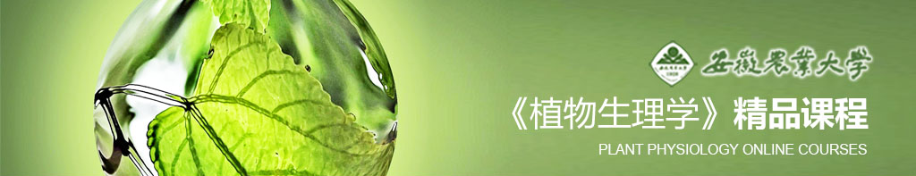 336植物生理学_课程网站